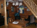 Birds Nest Cabin Pine Acres Resort