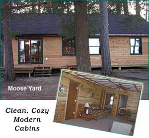Modern Resort on Prairie Lake