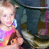 Photo Gallery