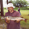 Photo Gallery